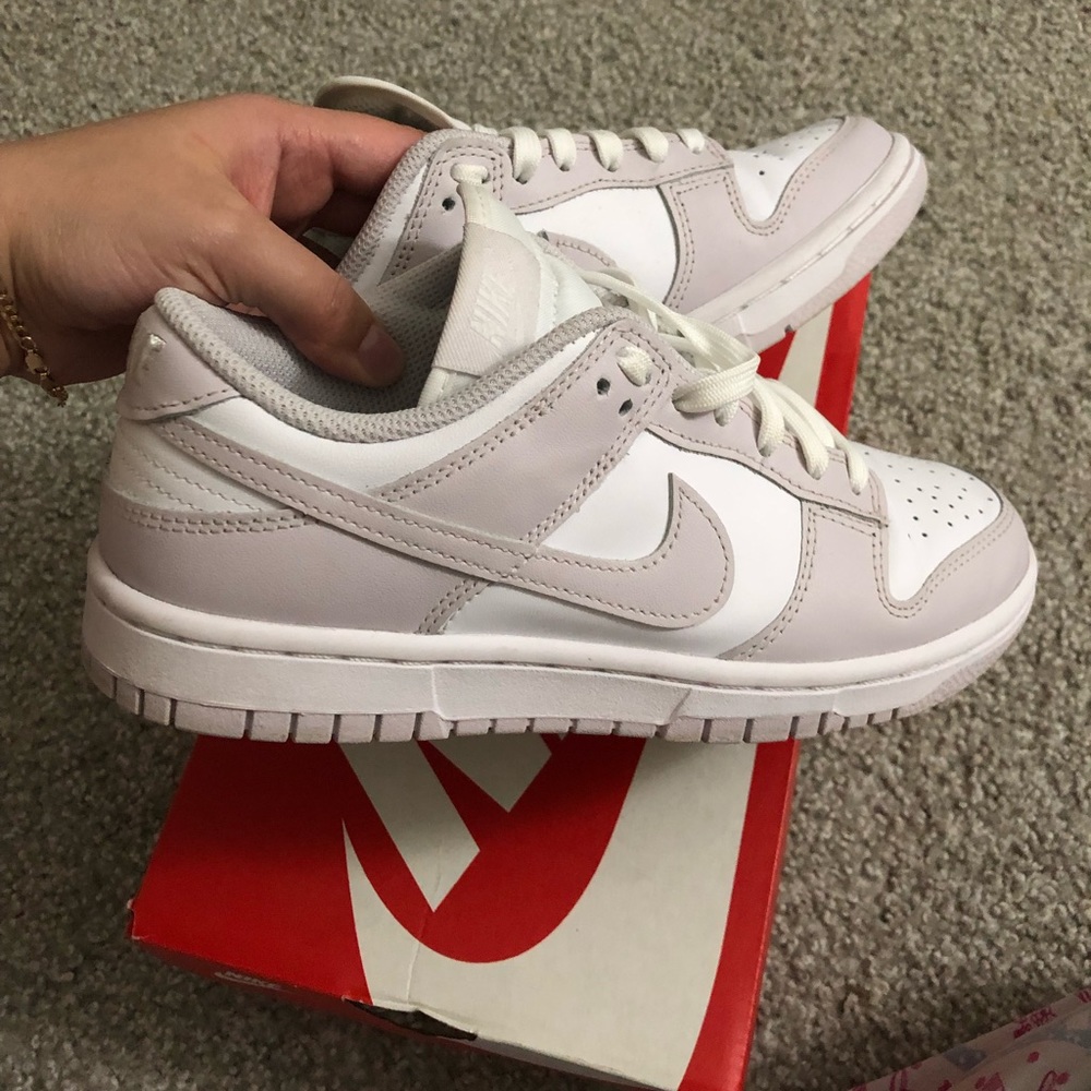 Nike Dunk Venice
